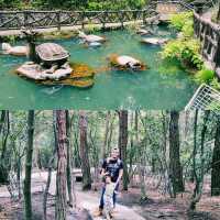 Into the Real-Life Avatar Mountains: A Zhangjiajie Adventure