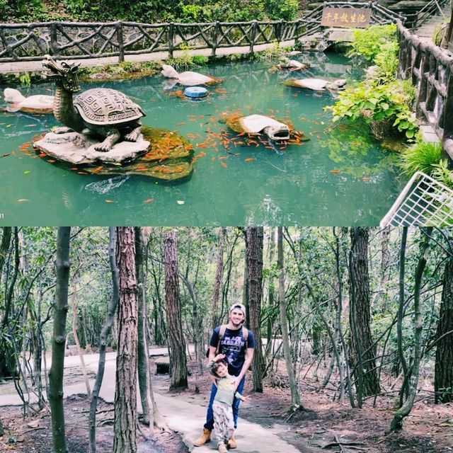 Into the Real-Life Avatar Mountains: A Zhangjiajie Adventure