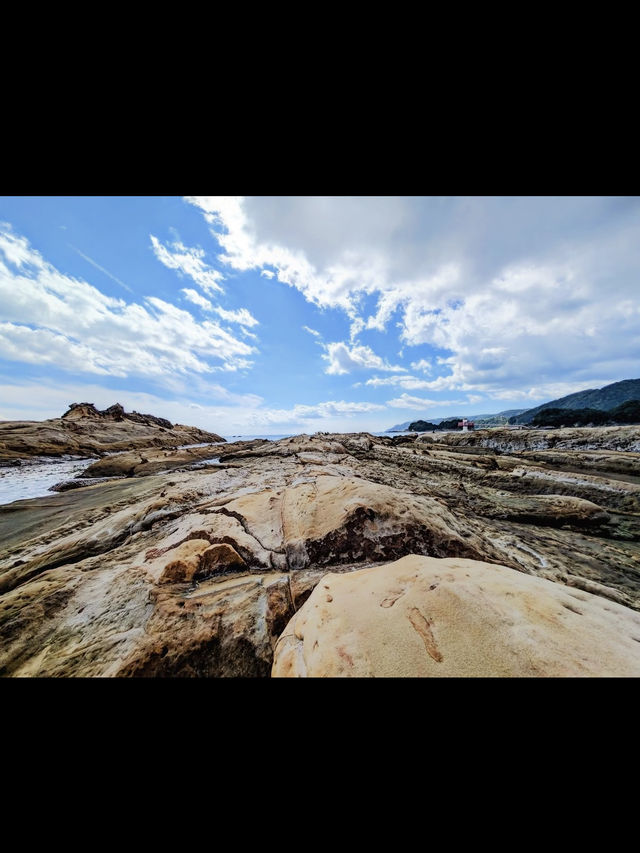 太古の地球にタイムスリップ!竜串海岸で奇岩と海の絶景に出会う旅 太古の地球にタイムスリップ!竜串海岸で奇岩と海の絶景に出会う旅
