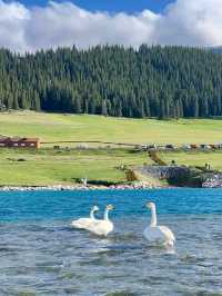 Alpine Serenity: Sayram Lake at the Edge of the World