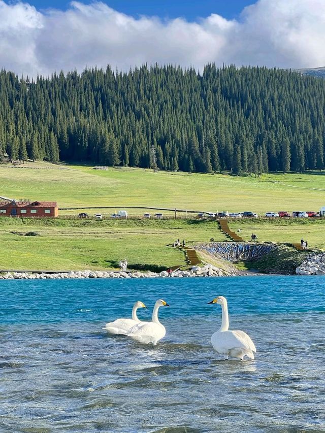 Alpine Serenity: Sayram Lake at the Edge of the World