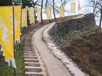 [공주] 백제역사지구, 공산성 산책하기 🏯🌿