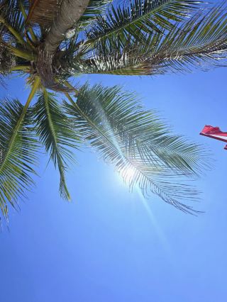 神秘的小島，錫基霍爾的療癒之旅