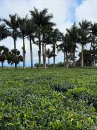 Experiencing the Breathtaking Landscape of Mauritius