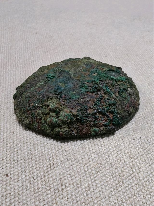 西安臨潼博物館 - 秦代文物鑑賞體驗