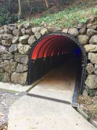 【石川・能登半島】🏞️〜未来に残したい日本がここにある〜