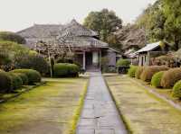 Samurai Sunsets: My Return to Obi Castle, Miyazaki