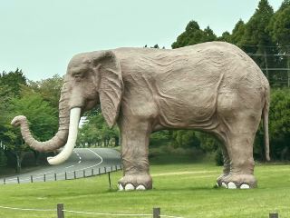 Entrance to the Wild World - Kyushu Natural Animal Park