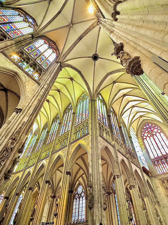 Cologne,Germany🇩🇪