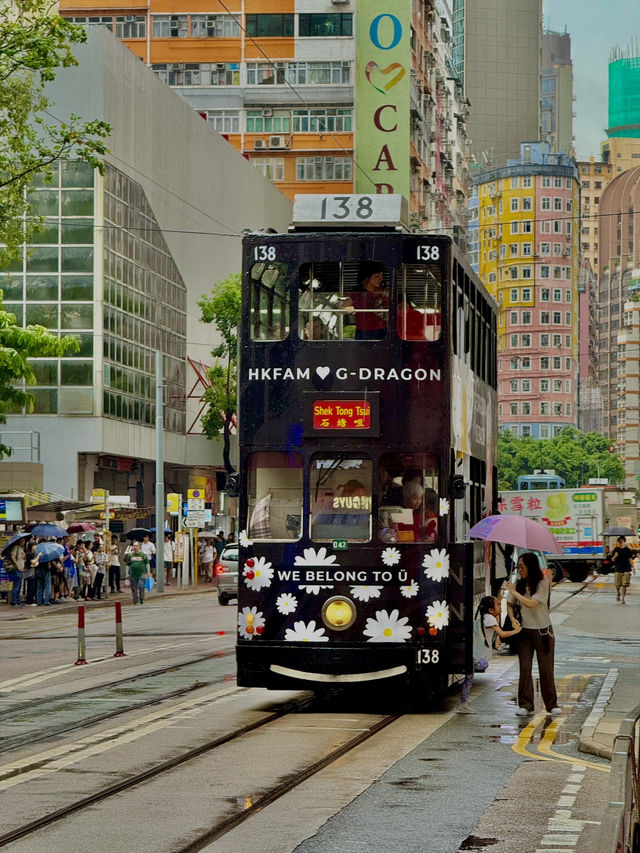 Victoria Harbour & Golden Bauhinia Square, Hong Kong 🇭🇰 