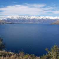 Ripples & Reflections: Sunshine Bay Serenity 