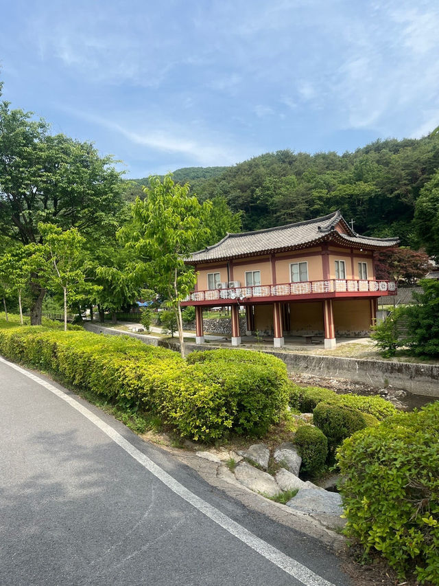제천 1박 2일 여행 코스 추천 / 관광지, 맛집, 카페, 빵집