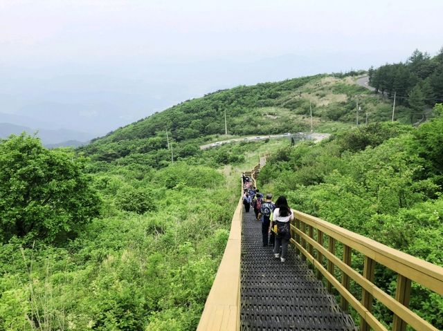 팔공산 – 대구의 진산