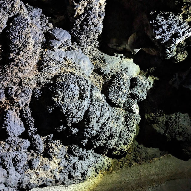 Divaška Cave – Gateway to the Karst Underground