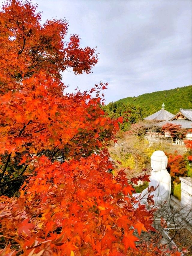 紅葉満喫1泊2日 紅葉満喫1泊2日