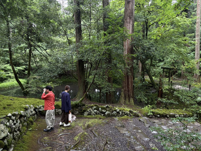 【福井】/勝山/白山神社の総本山！日本の山信仰を代表する神社