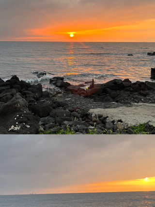 제주도 2박 3일 여행계획 공유 🌊🍊