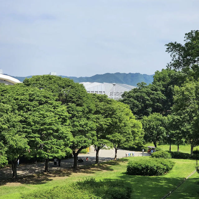 Olympic Park (올림픽공원)