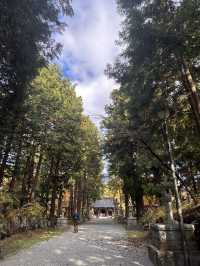 秋日金黃的淺間神社