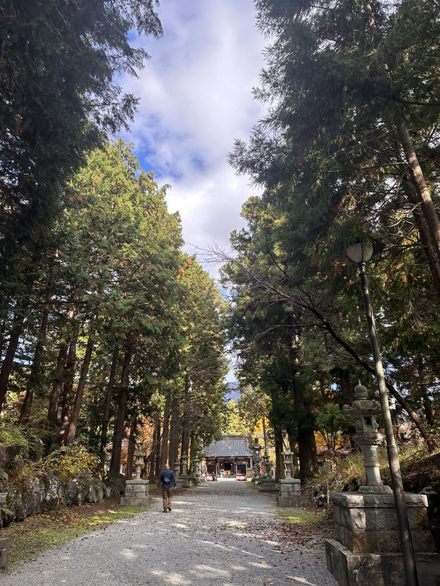 秋日金黃的淺間神社