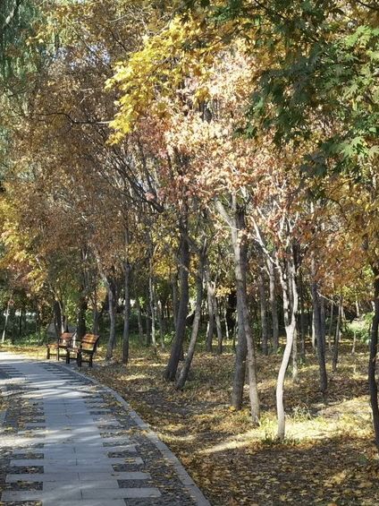 瀋陽北陵公園🇨🇳