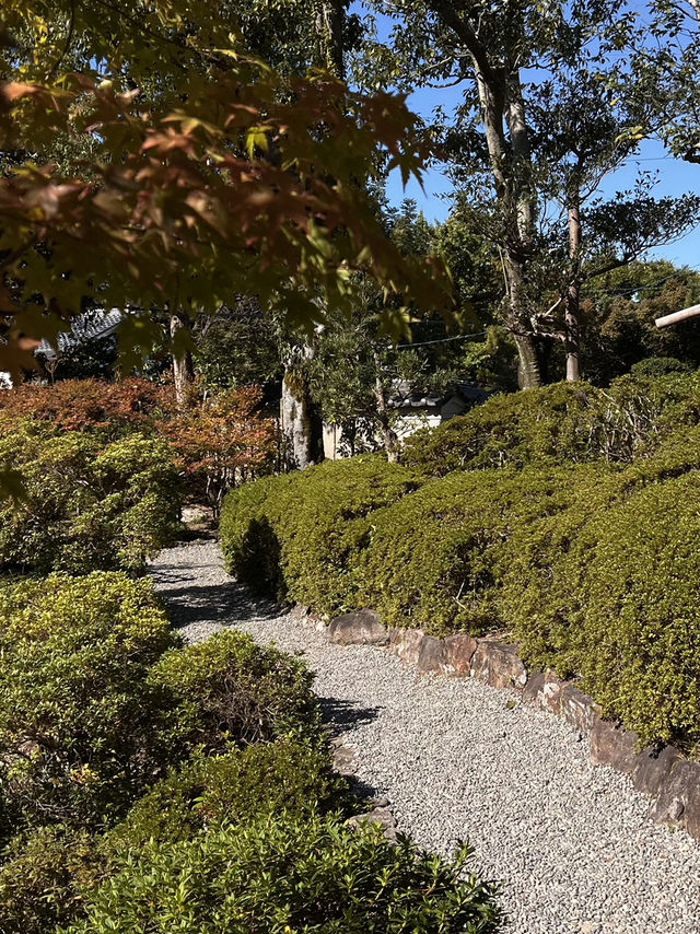 🦌 Day Trip to Nara – Gardens, Deer & Matcha 🍦