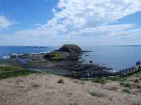 🐾 รีวิว: The Nobbies – จุดชมวิวและธรรมชาติ