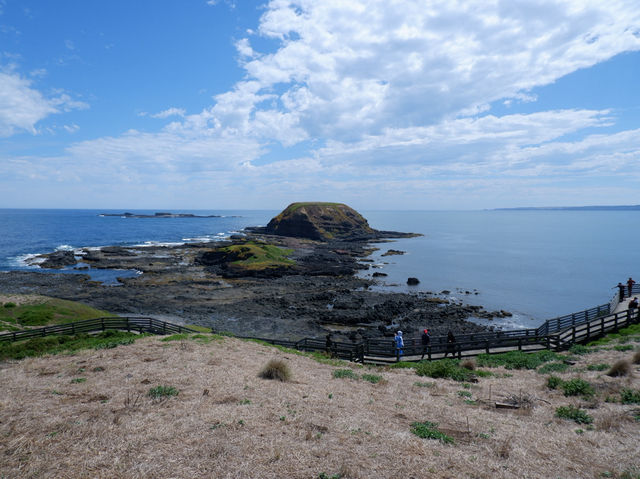 🐾 รีวิว: The Nobbies – จุดชมวิวและธรรมชาติ