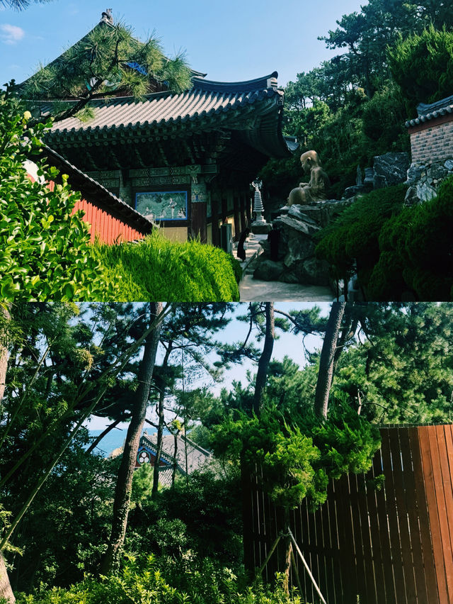 바다와 맞닿은 사색의 시간, 해동용궁사 바다와 맞닿은 사색의 시간, 해동용궁사