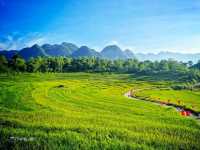 ✨🌿 Discover the Hidden Gem of Pù Luông, Vietnam! 🌿✨
