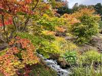 Royal Botanic Garden Edinburgh