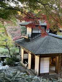 横浜にいながら古都の風情を感じられます！