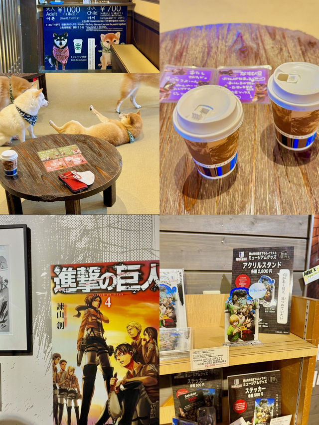 후쿠오카 근교 실내 커플 데이트 루트 추천 💑☕️