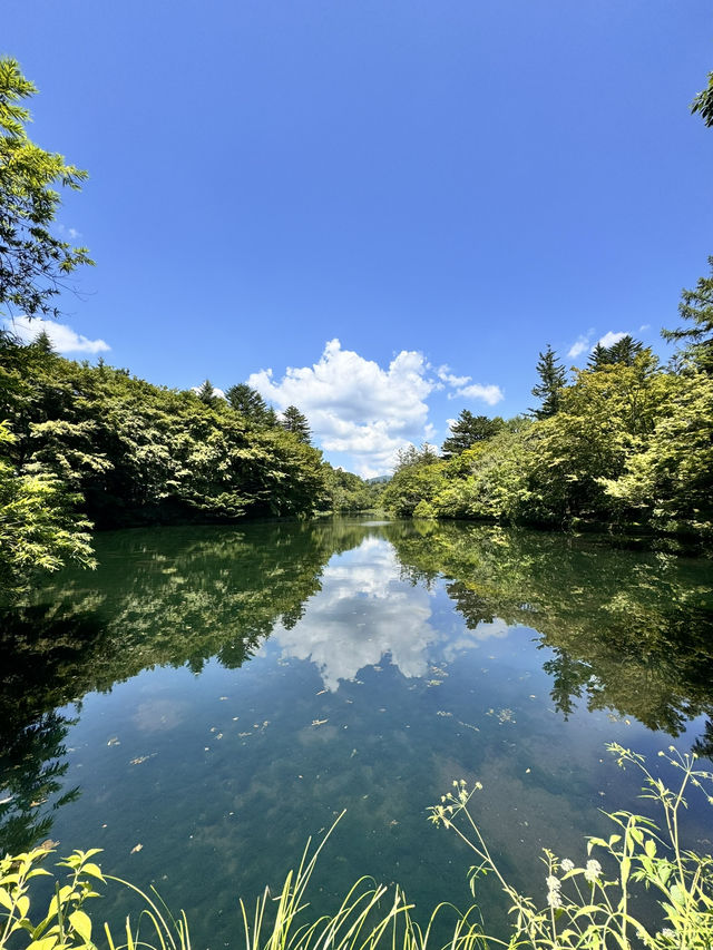 Tokyo to Karuizawa: A Hidden Gem Adventure! Tokyo to Karuizawa: A Hidden Gem Adventure!