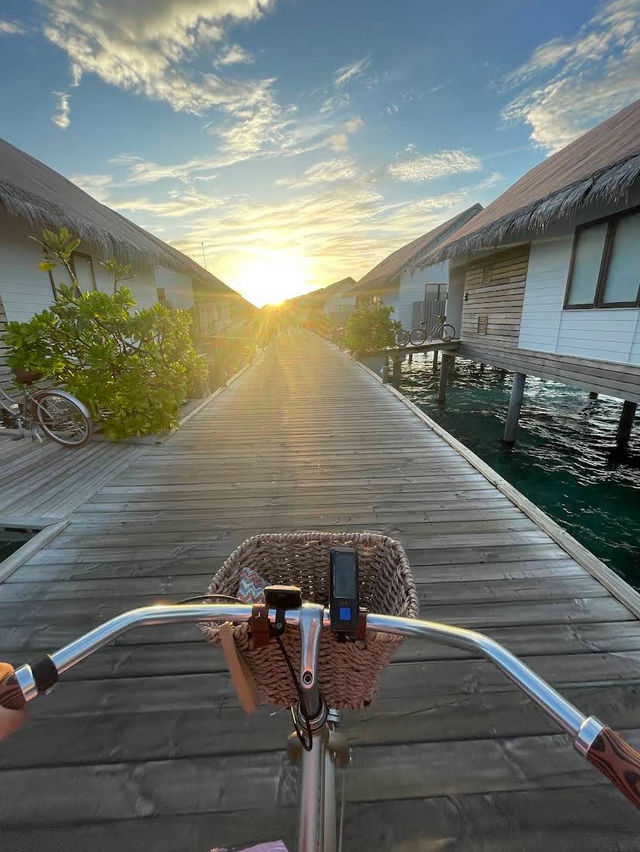 Hilton Maldives Amingiri Resort & Spa, Tropical Luxury with a Personal Touch