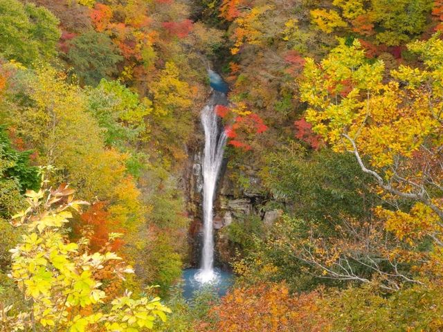 自然がいっぱい🌳那須の紅葉スポット