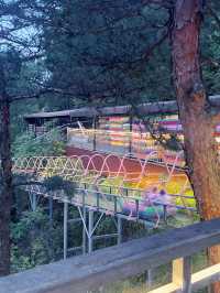 A Sky-High View of Qiandaohu: Tianyu Mountain’s Escalator Shortcut!