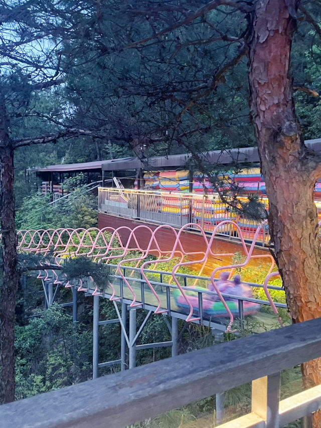 A Sky-High View of Qiandaohu: Tianyu Mountain’s Escalator Shortcut!