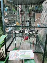 Farm In The City: A Must-Visit Family Adventure with Diverse Animals