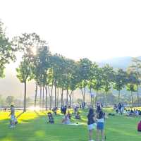 สถานที่พักผ่อน สูดอากาศของคนเชียงใหม่ 🌴🌳