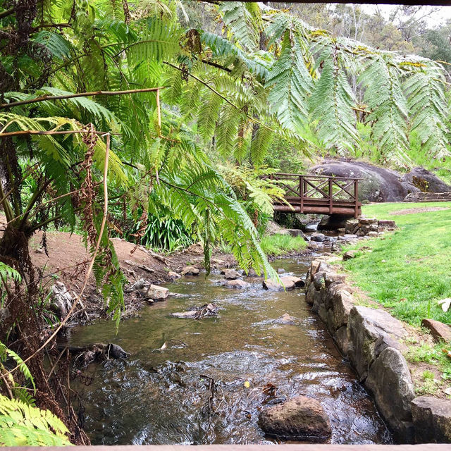 Blooming Beauty: A Day at Araluen Botanic Park, Perth