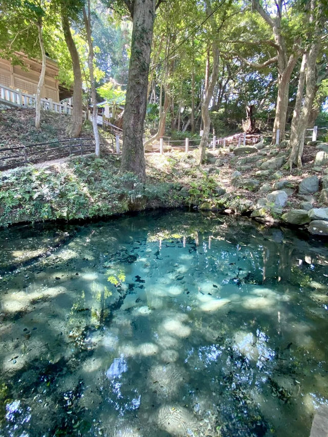 Sacred Springs & Sky-High Bridges: A Morning in Hitachi  Sacred Springs & Sky-High Bridges: A Morning in Hitachi