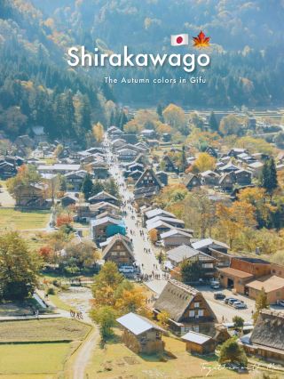 Shirakawago village in Autumn🍁🇯🇵