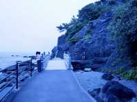🌊 太平洋を望む絶景スポット・桂浜