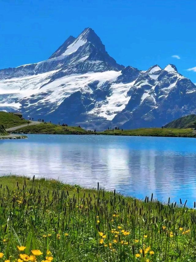 Swiss Peaks Dream🍂