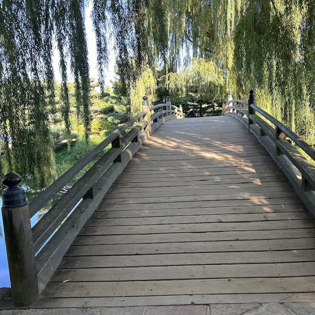 Chicago Botanic Garden – A Verdant Oasis of Beauty and Learning