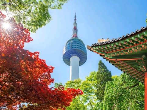 🇰🇷 SEOUL: Where Palaces Meet K-Pop Neon! ✨ 🇰🇷 SEOUL: Where Palaces Meet K-Pop Neon! ✨