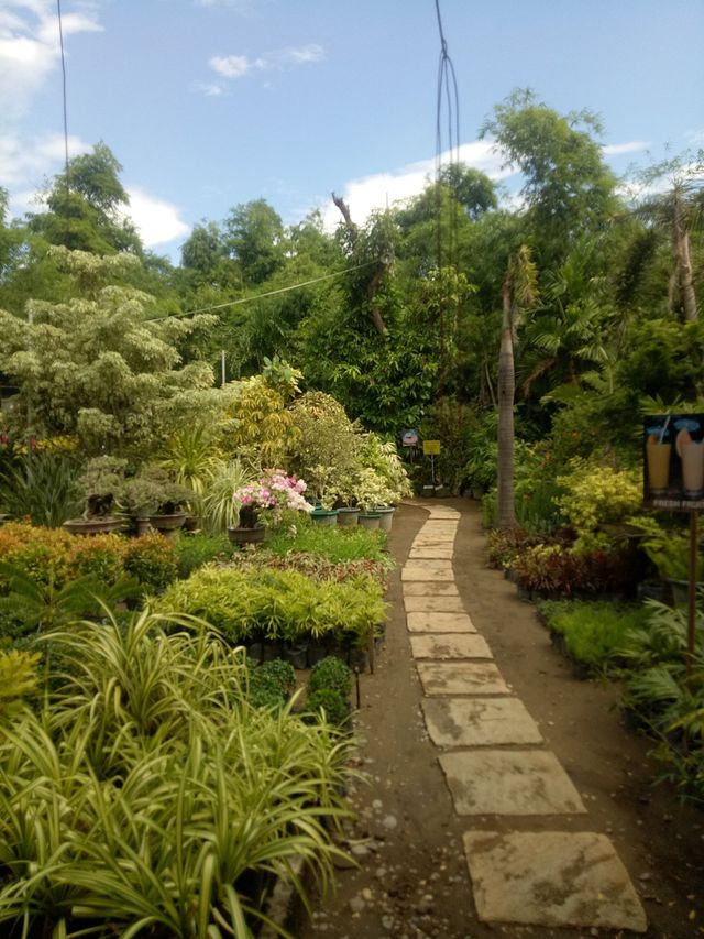 Hidden Garden - Authentic Ilocano Dishes with great garden ambiance Hidden Garden - Authentic Ilocano Dishes with great garden ambiance