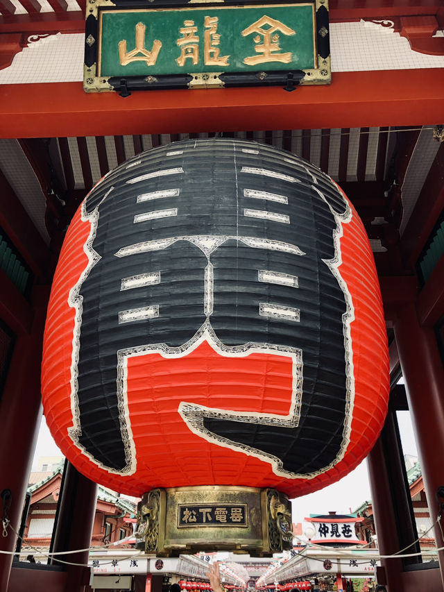  🌸 Sakura Dreams in Tokyo: A Springtime Escape 🌸