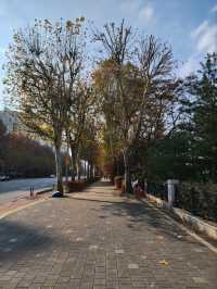 ⭐서울 올림픽공원 하루 코스 – 거대한 엄지상 구경하고, 가을 댑싸리 걷고, 청와옥에서 마무리!